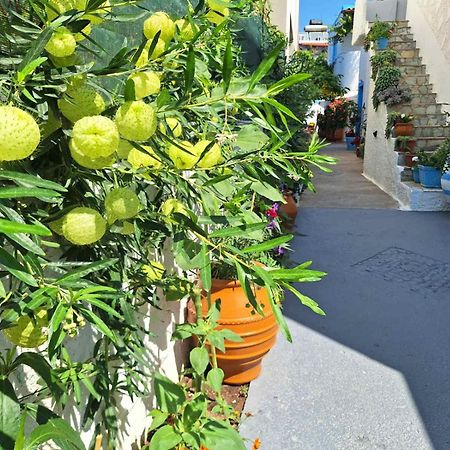 Βig Βlue Apartments Makrýgialos Esterno foto