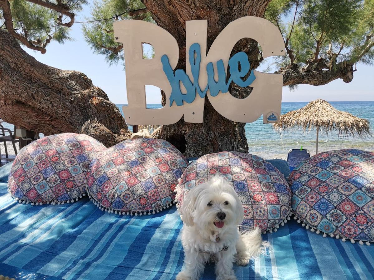 Βig Βlue Apartments Makrýgialos Esterno foto