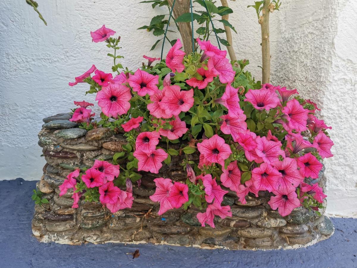 Βig Βlue Apartments Makrýgialos Esterno foto
