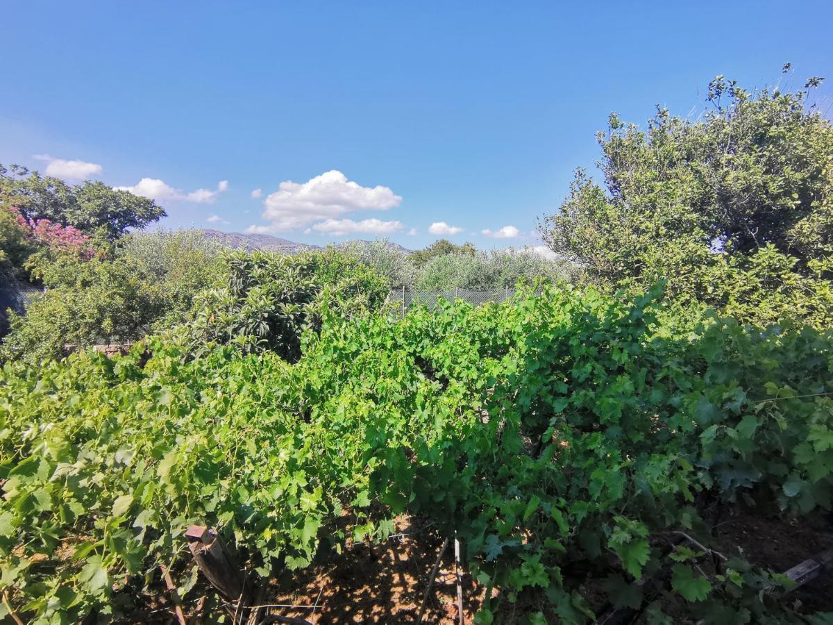 Βig Βlue Apartments Makrýgialos Esterno foto