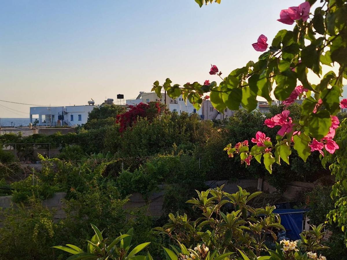 Βig Βlue Apartments Makrýgialos Esterno foto