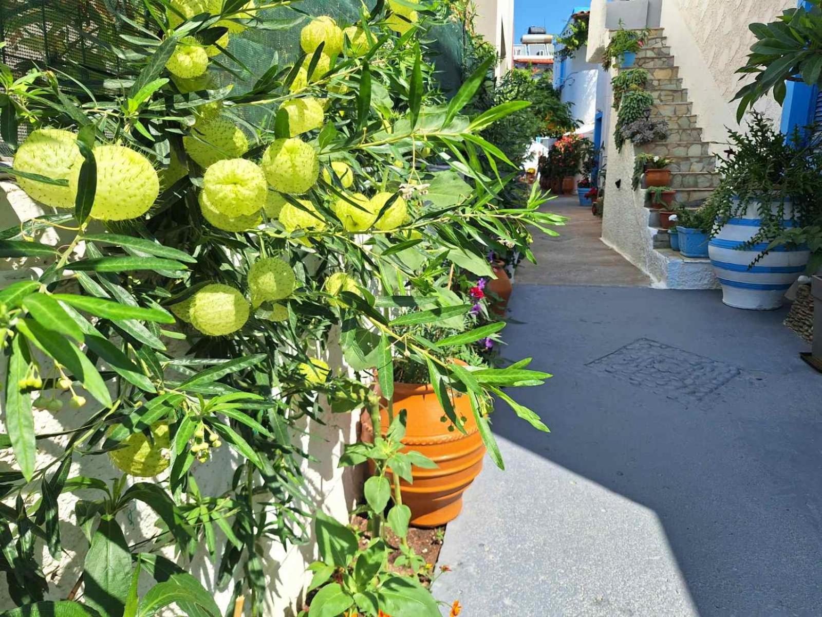 Βig Βlue Apartments Makrýgialos Esterno foto