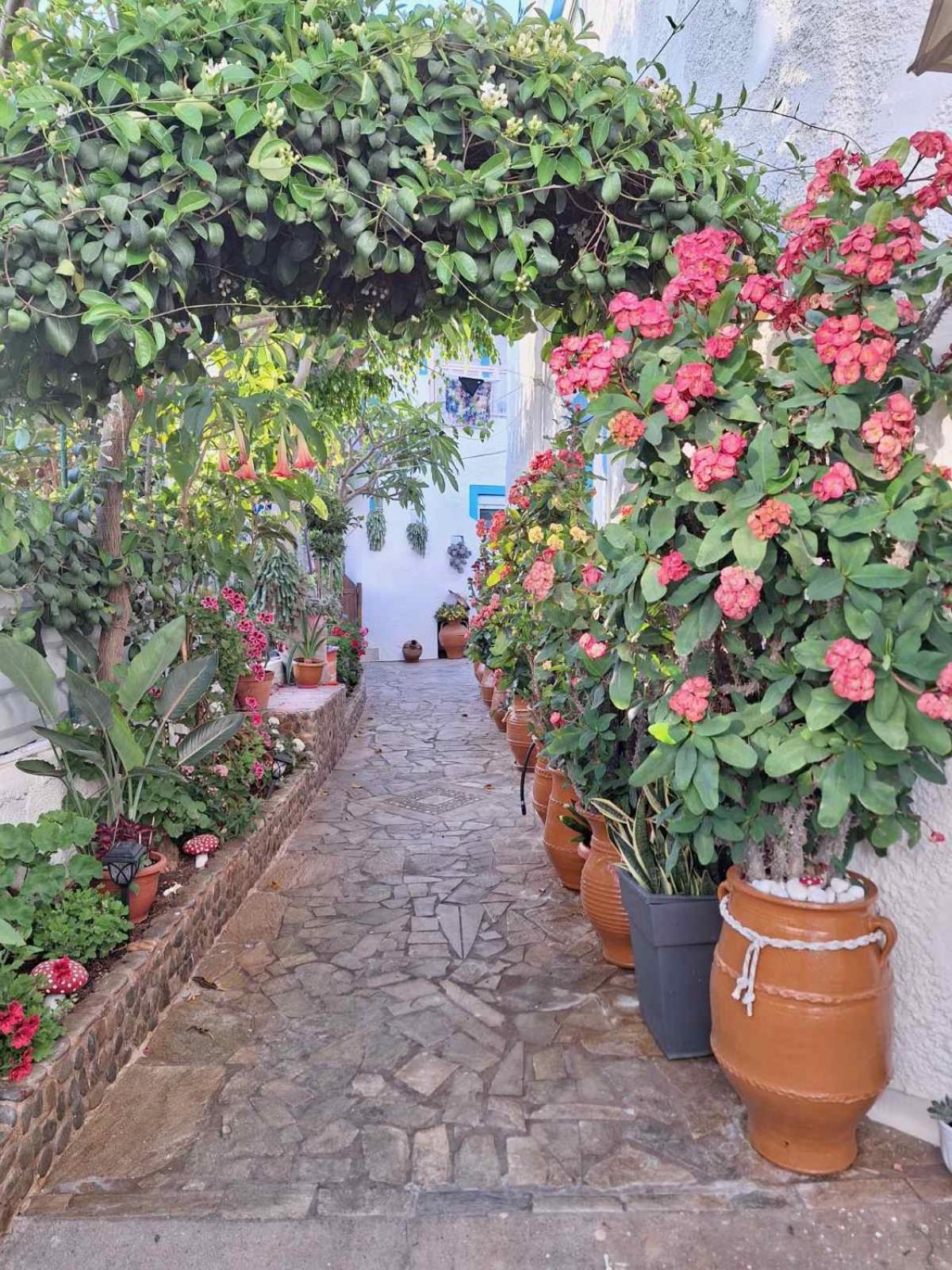 Βig Βlue Apartments Makrýgialos Esterno foto