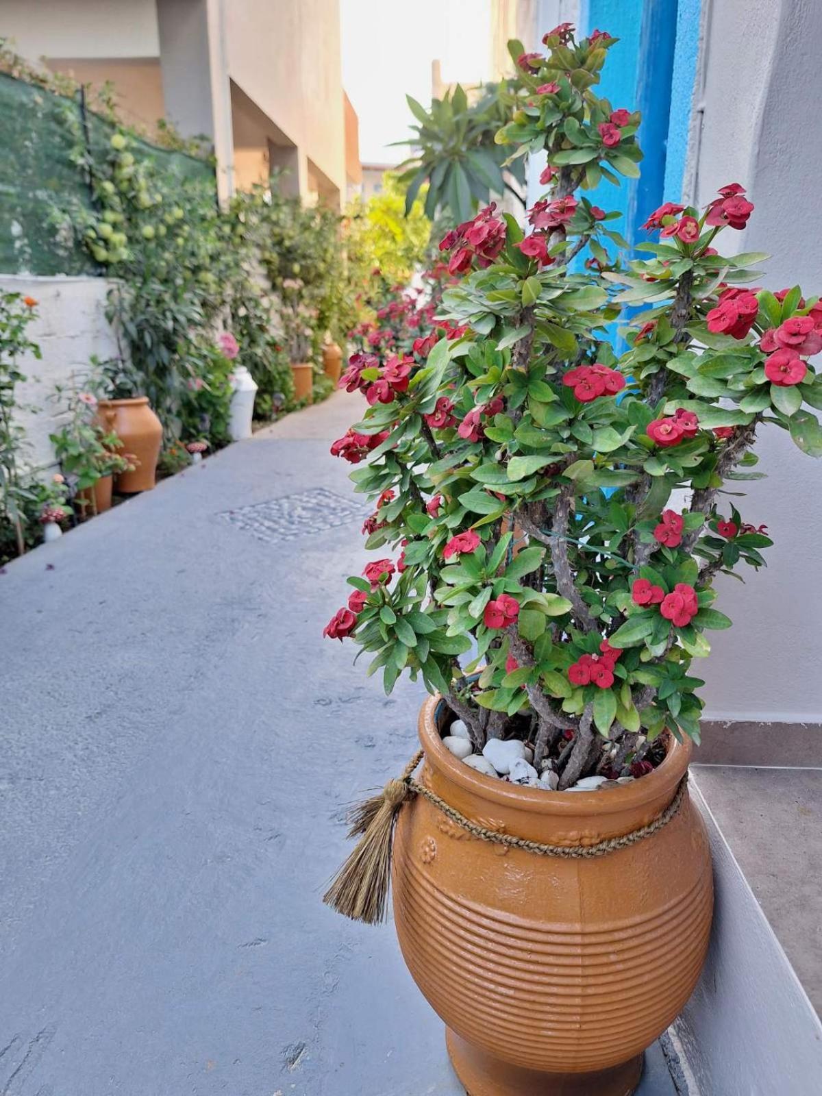 Βig Βlue Apartments Makrýgialos Esterno foto