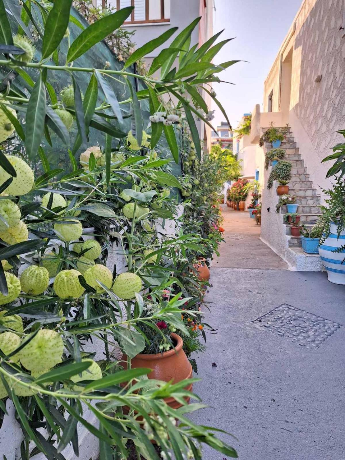 Βig Βlue Apartments Makrýgialos Esterno foto