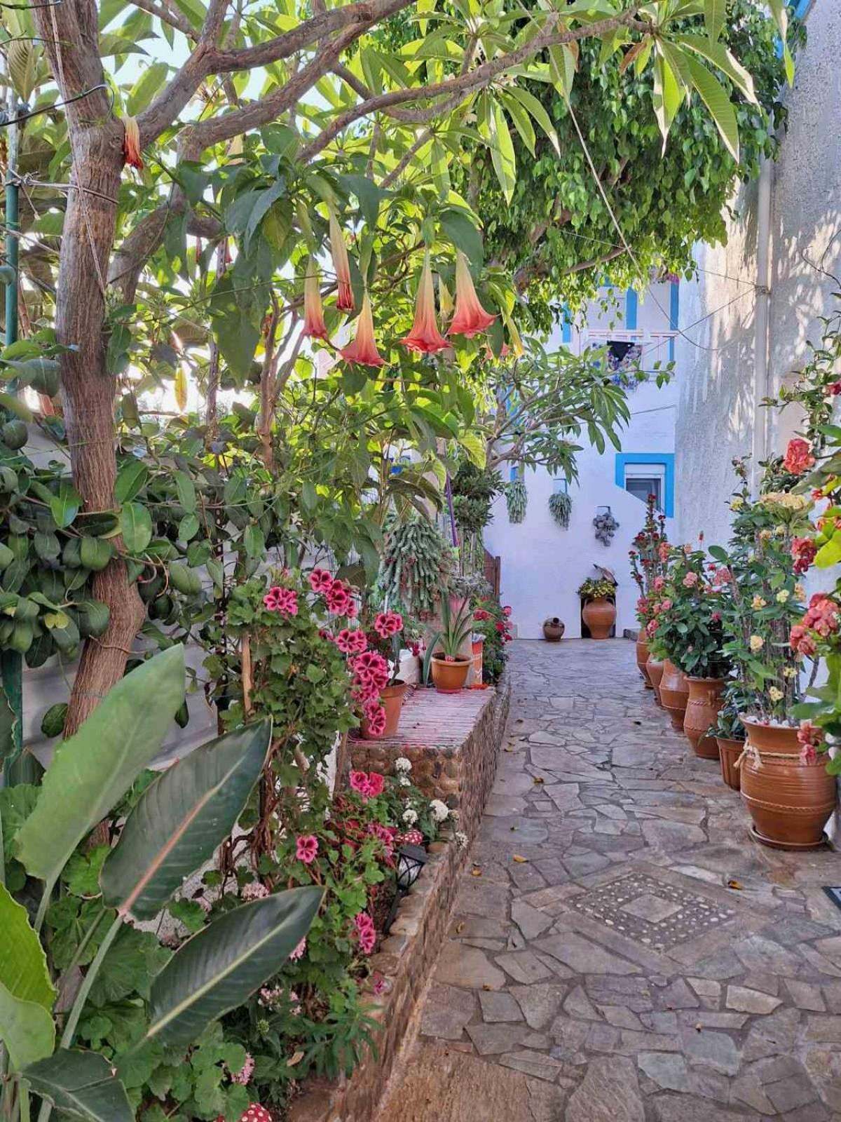 Βig Βlue Apartments Makrýgialos Esterno foto