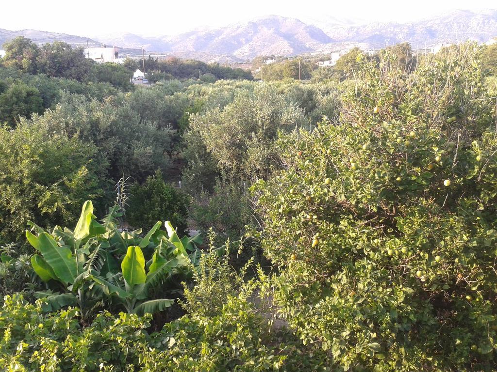 Βig Βlue Apartments Makrýgialos Camera foto